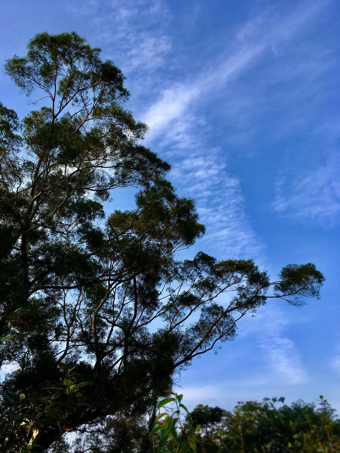 ワン ルイ リゾート Hengshan エクステリア 写真