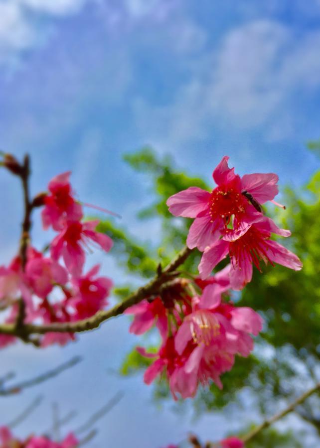 ワン ルイ リゾート Hengshan エクステリア 写真