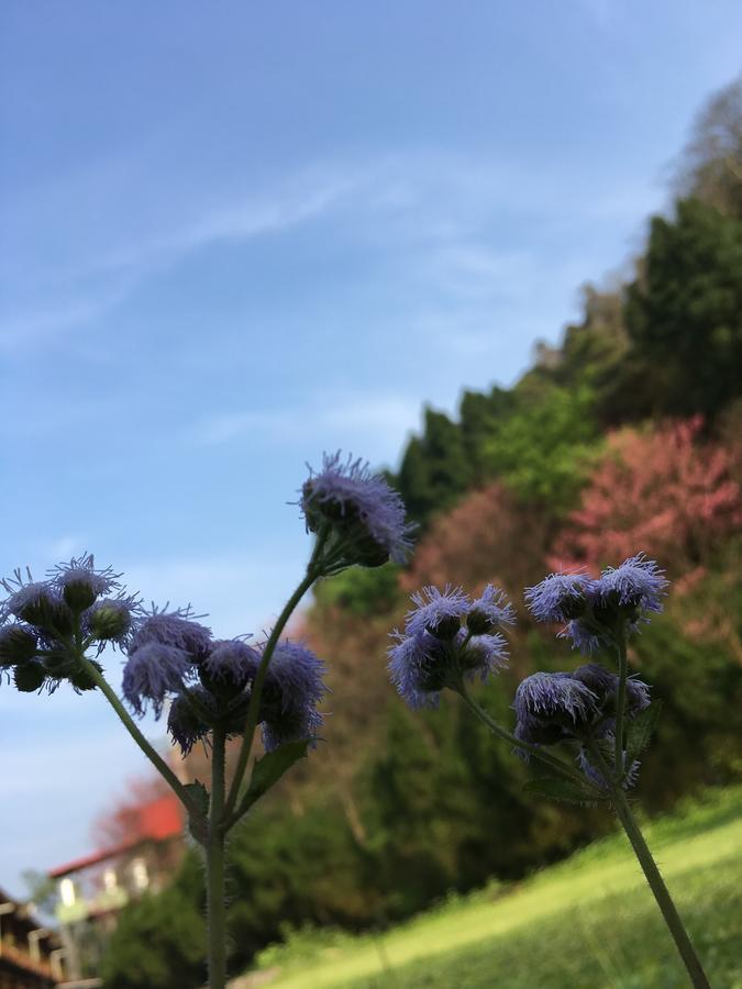 ワン ルイ リゾート Hengshan エクステリア 写真